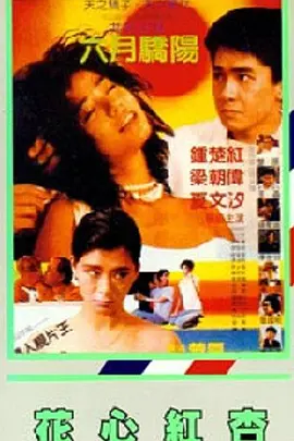 日韩高清不卡在线
