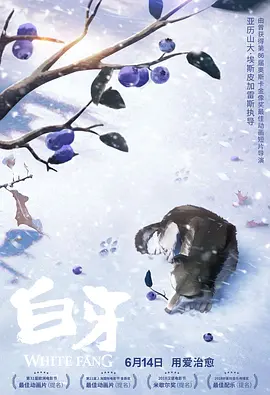 老司机深夜福利视频