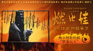 草网阁最新地址