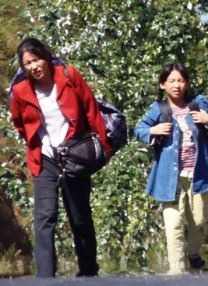 伊人一区