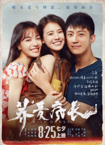 视频你懂